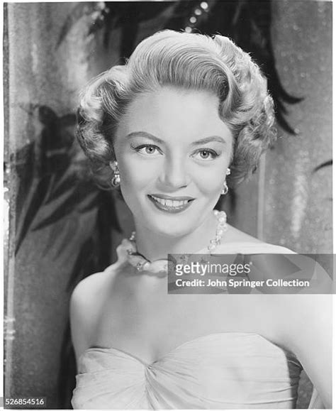 sheree north photos|280 Sheree North Pictures Stock Photos & High